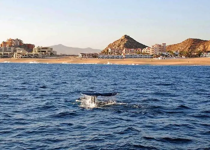 Holiday home Hyatt Sirena Del Mar 1bd